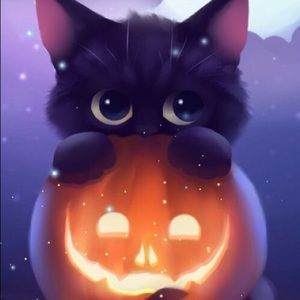 Meet your Posher, Skyler